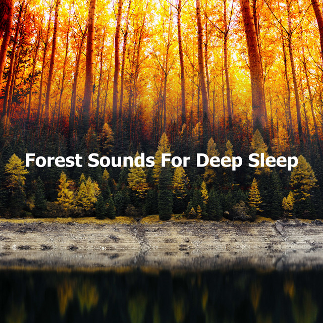 Forest Sounds For Deep Sleep - Album by Natural Forest Sounds | Spotify