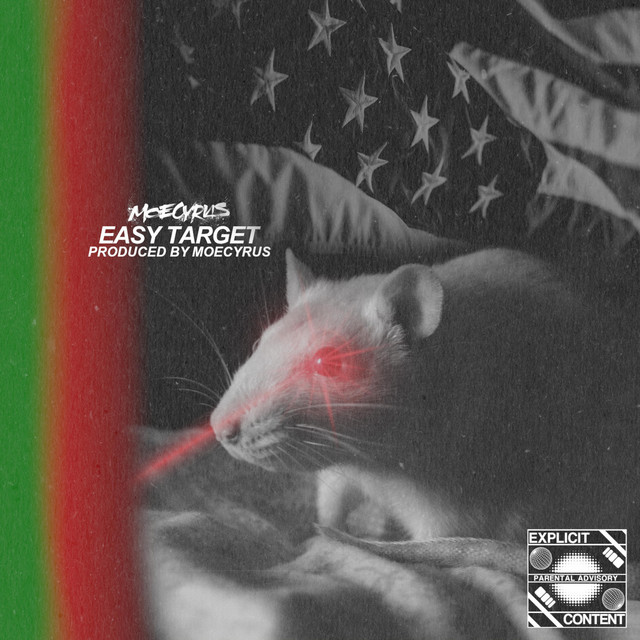 Easy Target cover art