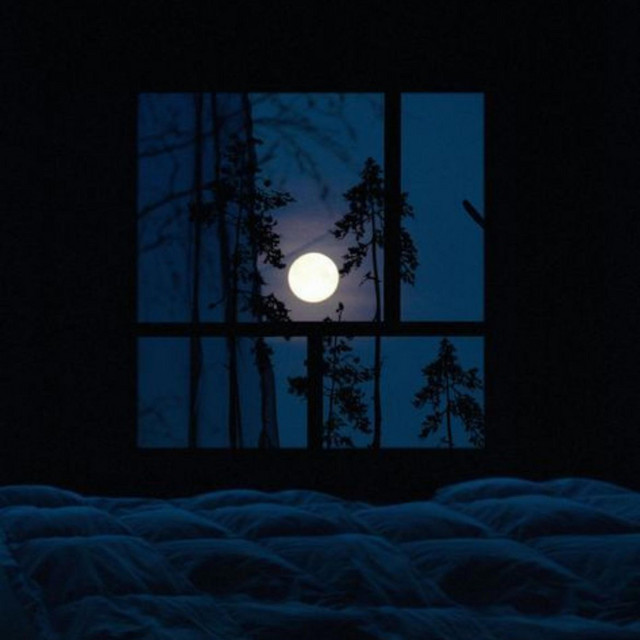 Window Opened cover art