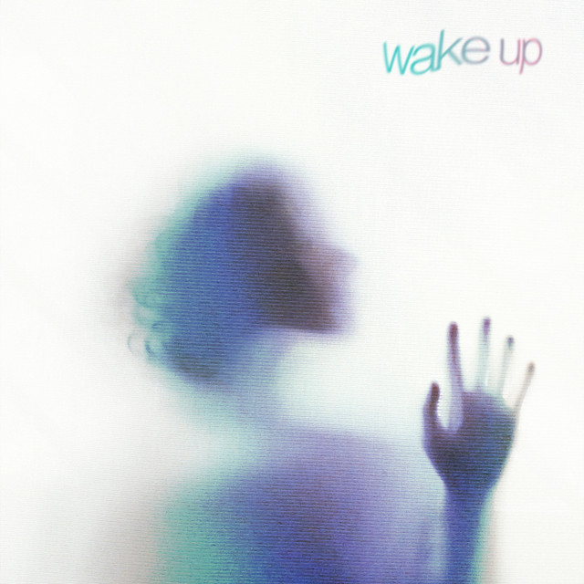 Обкладинка: Wake Up — RABRO