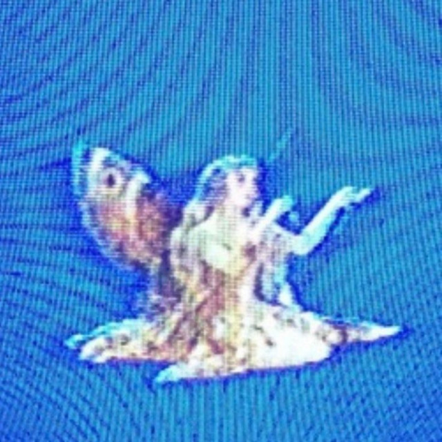 Primera cover art