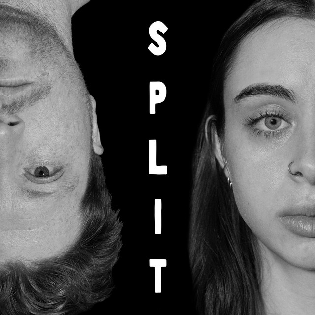 Split cover art