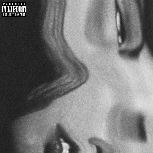 DON'T GO SEARCHING IN THE DARK cover art
