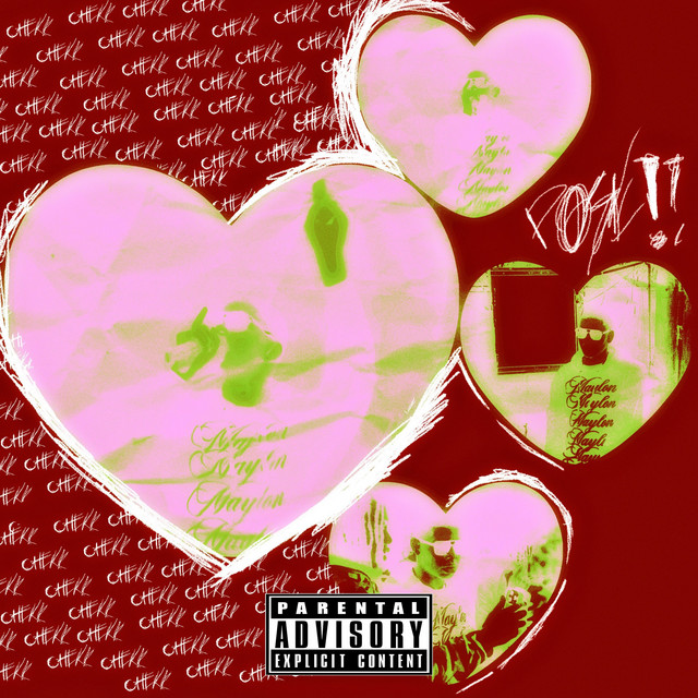 POSE cover art