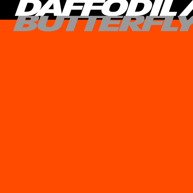 daffodil