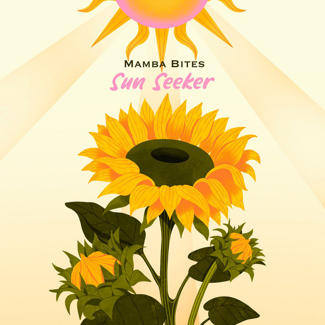 Sun Seeker cover