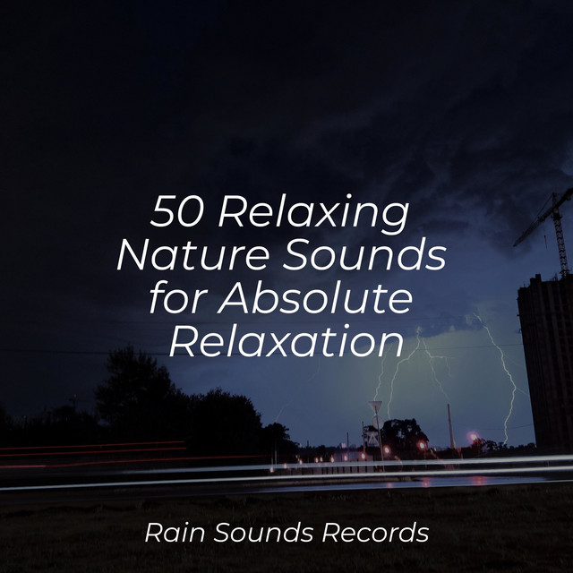 50 Relaxing Nature Sounds for Absolute Relaxation - Album by Lucid ...