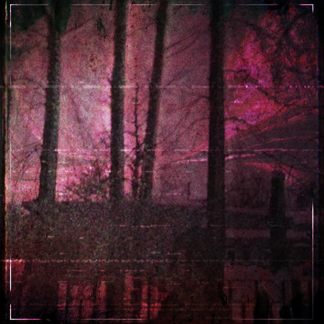 Обкладинка: Lust of Bipolarity — VISXGE