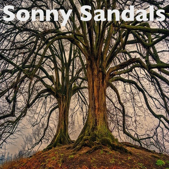 Sonny Sandals