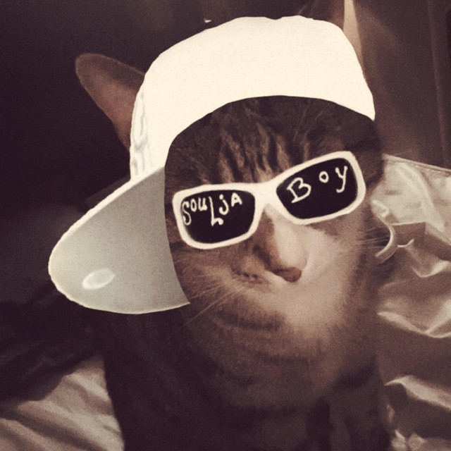 Soulja Cat cover art