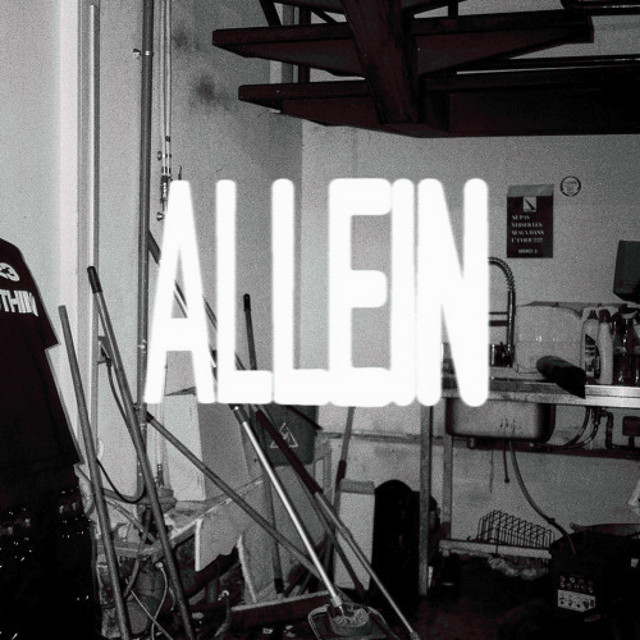 ALLEIN (SCHRANZ REWORK) cover