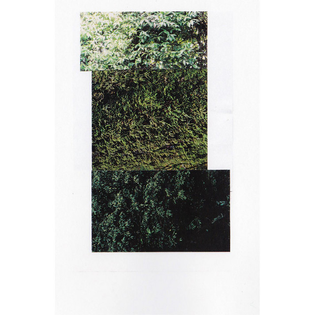 Shelter cover art