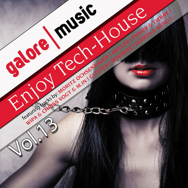 Enjoy Tech House, Vol. 13 cover art