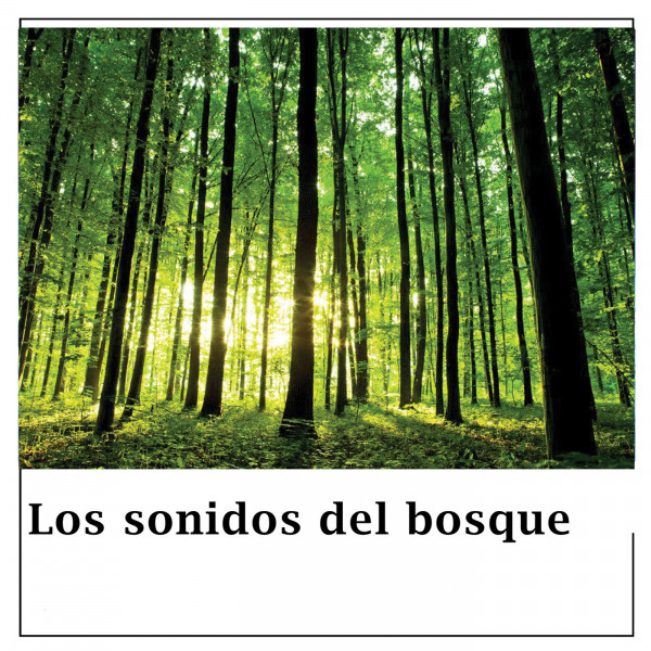 Sonidos Del Bosque Uno