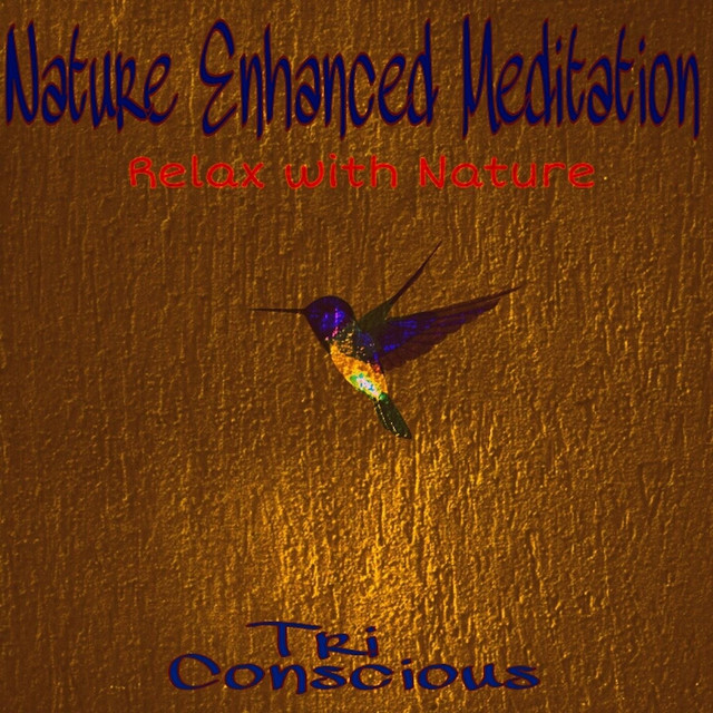 Nature Enhanced Meditation cover art