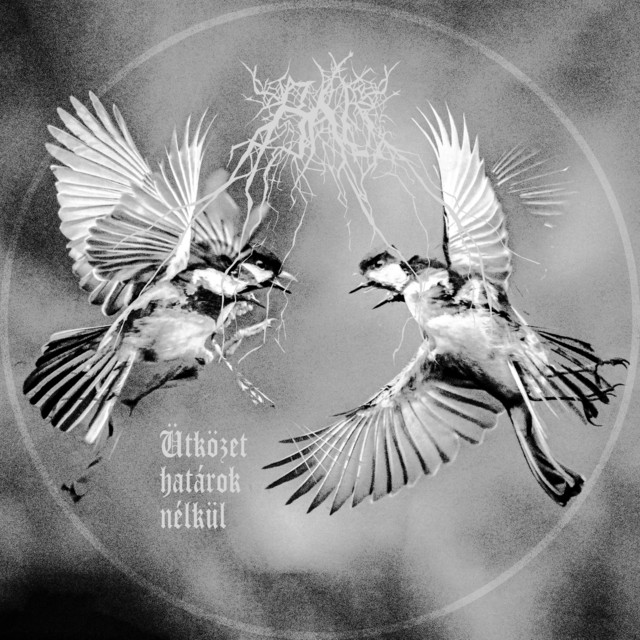 Ütközet határok nélkül album image