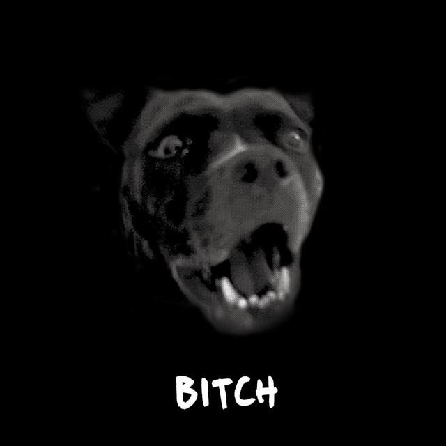 Bitch cover art