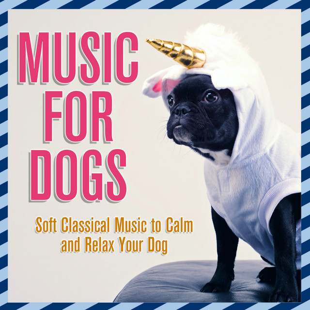 Music for Dogs: Soft Classical Music to Calm and Relax Your Dog cover art