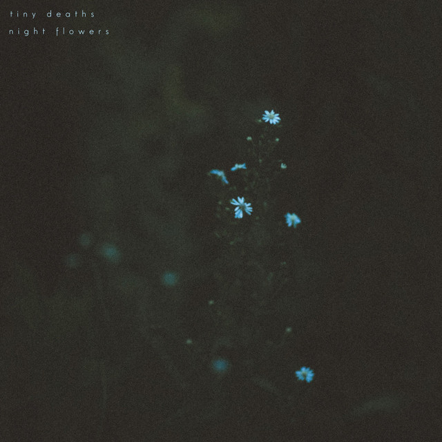 Night Flowers cover art