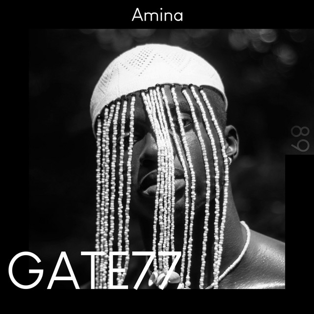 Amina cover art