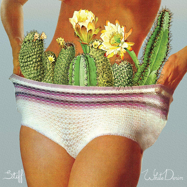 Stiff cover art