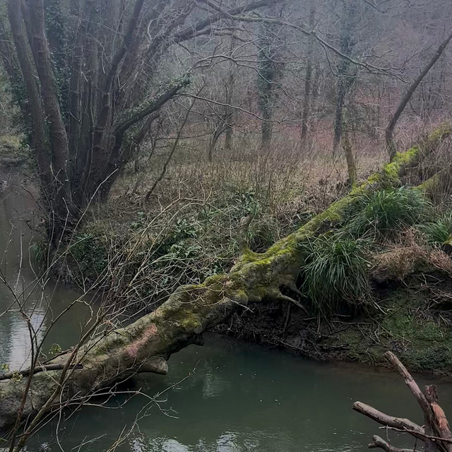 Creek album image