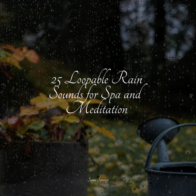 25 Loopable Rain Sounds for Spa and Meditation - Album by Spa Music ...