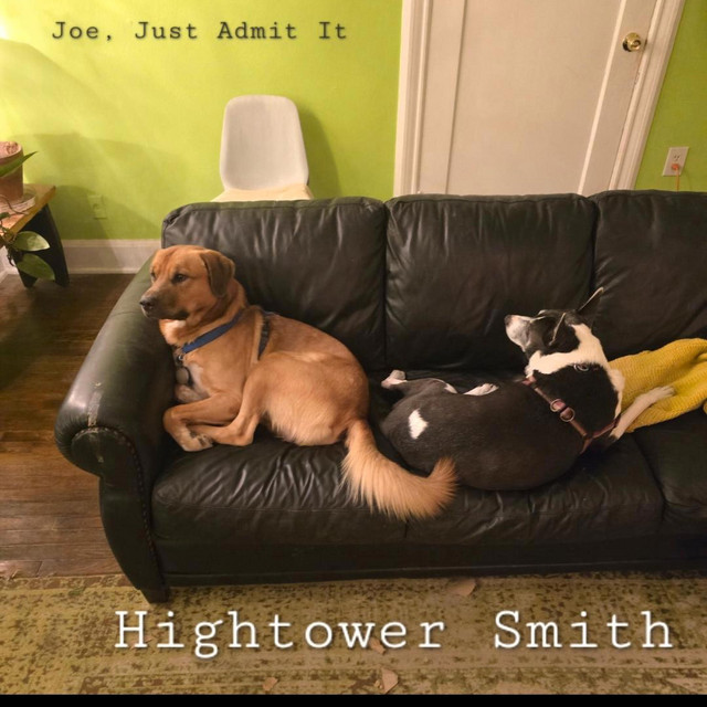 Joe, Just Admit It cover