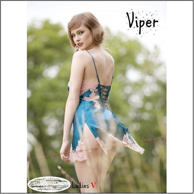 Ladies V cover art