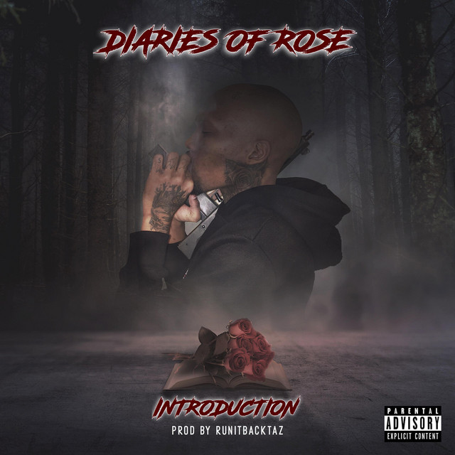 DiariesOfRose:Introduction cover art