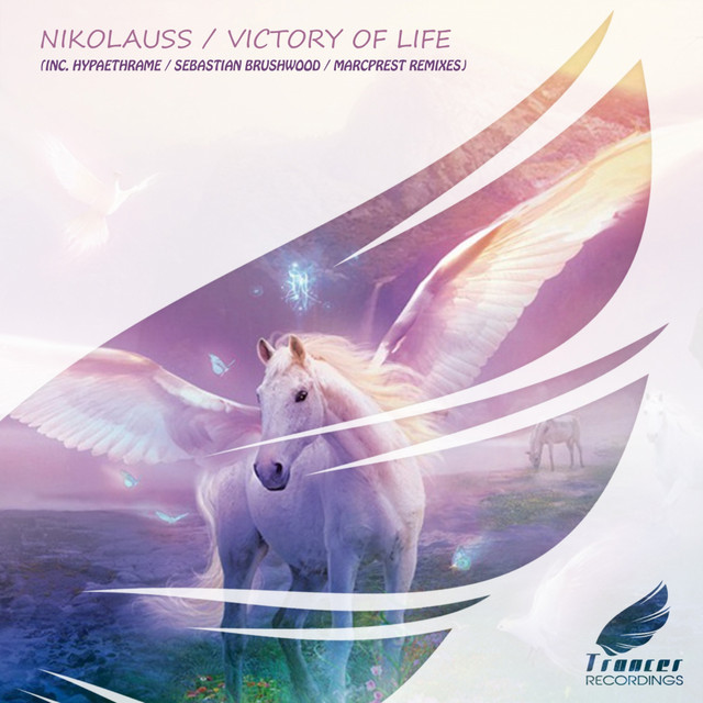 Victory of Life cover art