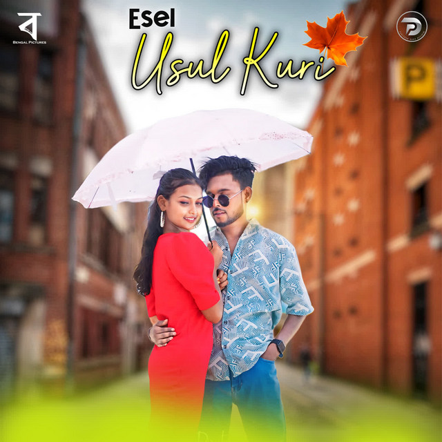Esel Usul Kuri album image