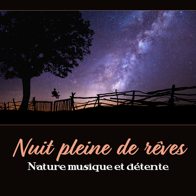 Nuit Paisible Et Relaxante Song By Aide Au Sommeil Academie Spotify