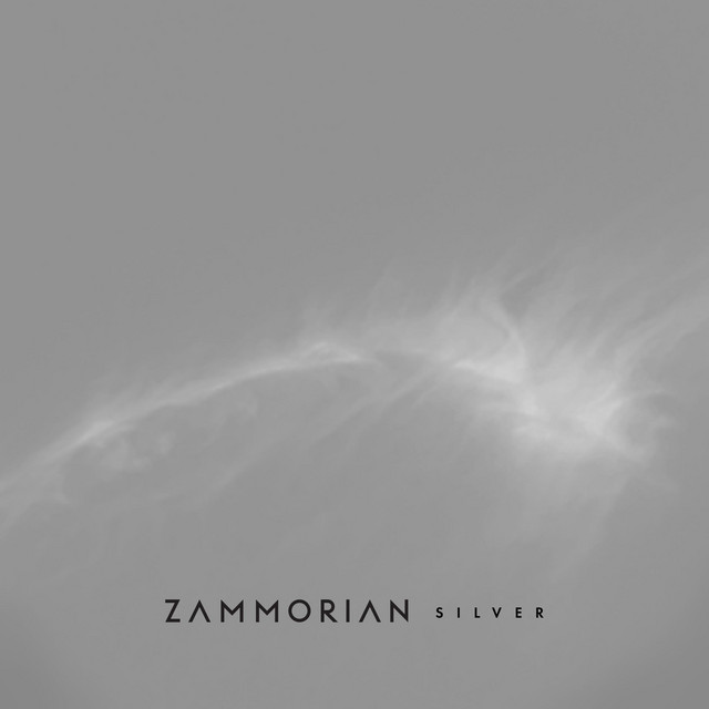 Silver cover
