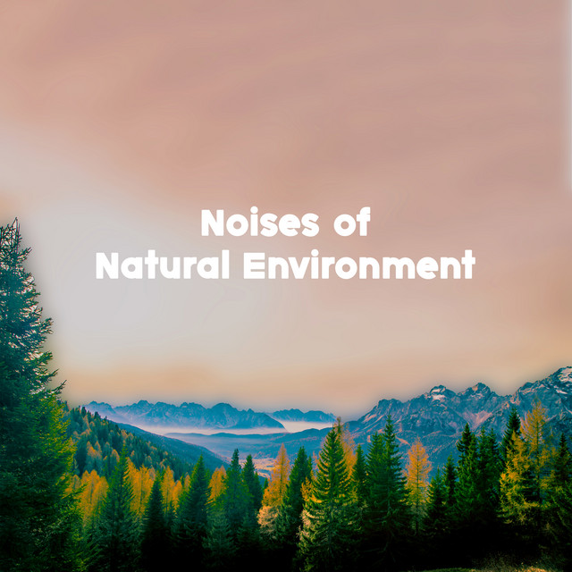 Noises of Natural Environment: Relaxing, Calming and Mindful Nature ...