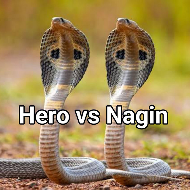 Hero vs Nagin