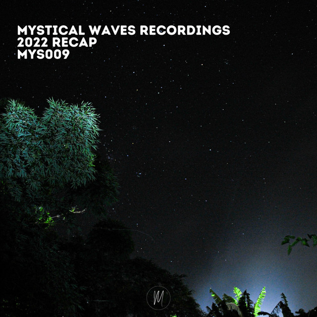 Mystical Waves Recordings 2022 Recap cover art