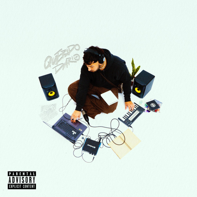 QUERIDO DIARIO cover art