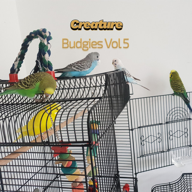Budgies, Vol. 5 cover art