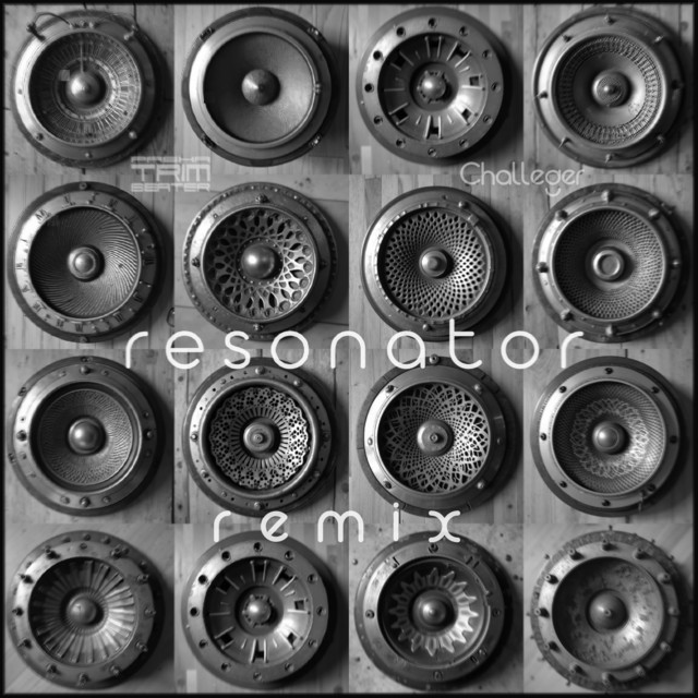 Обкладинка: Resonator - Remix — Trimbeater