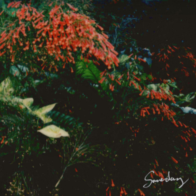 Someday cover