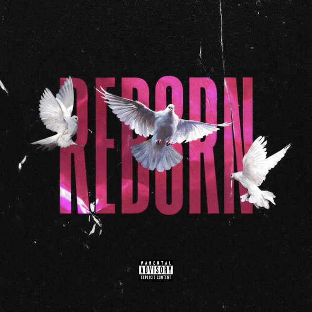 REBORN cover art