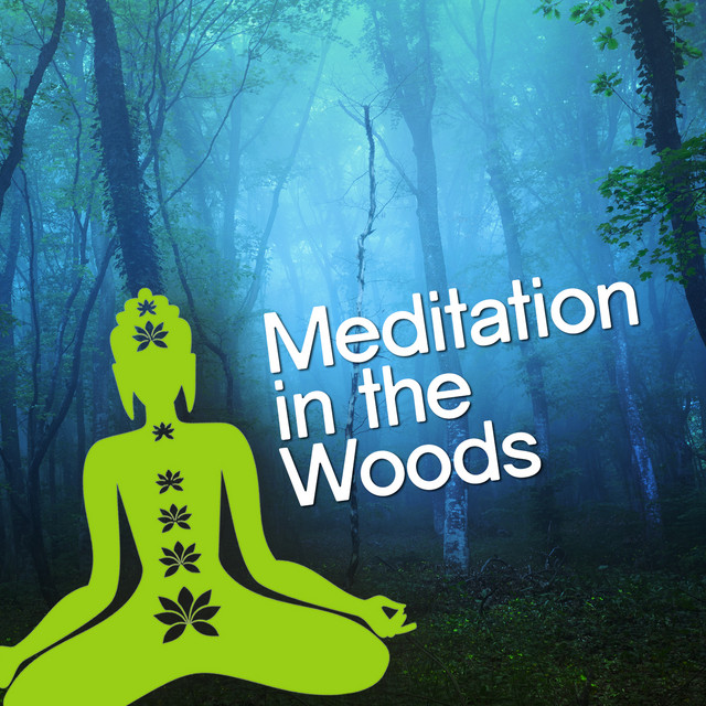 Meditation in the Woods cover art