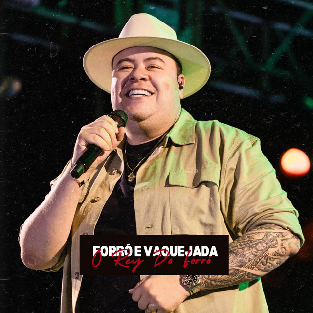 O Rey Do Forró cover art