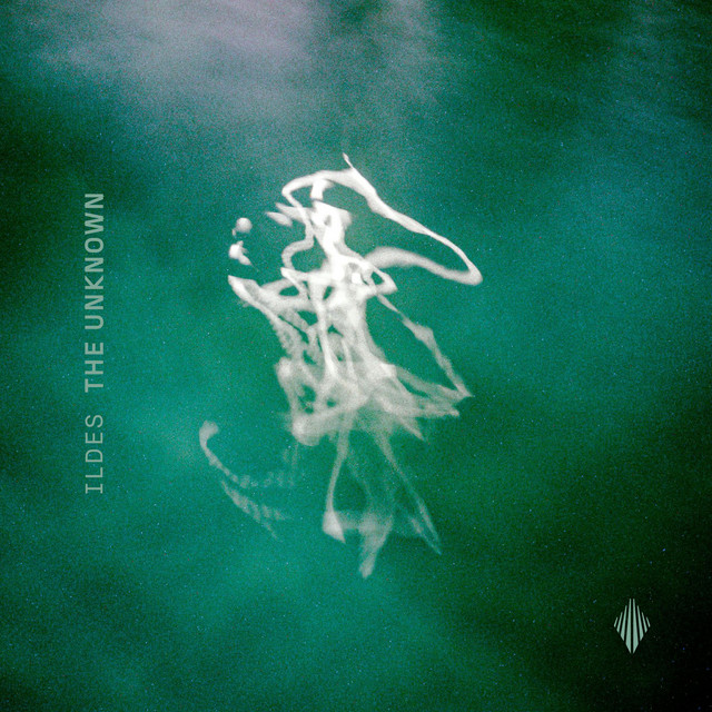 Pochette du titre The Unknown