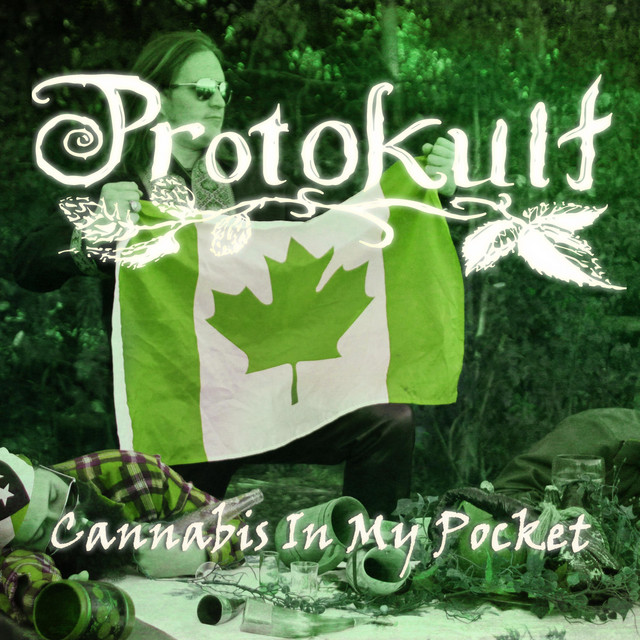Cannabis in My Pocket cover