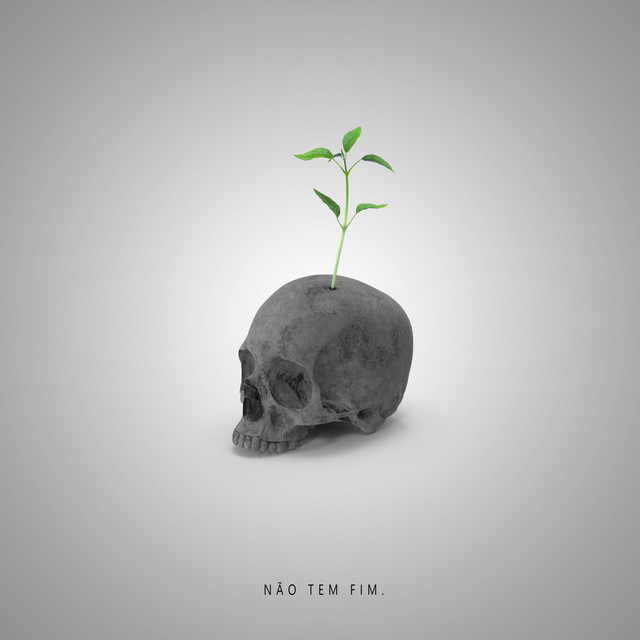 Não Tem Fim. cover art