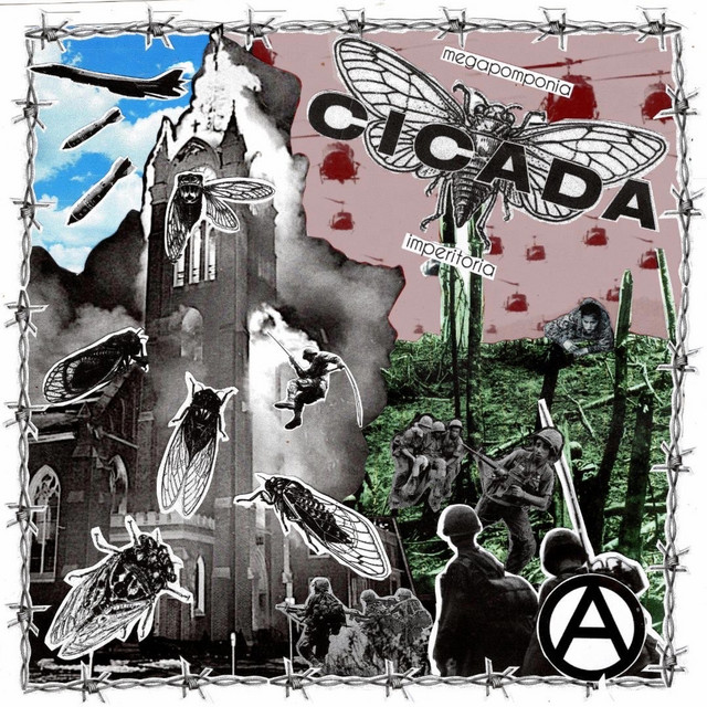 The Shrill cover art