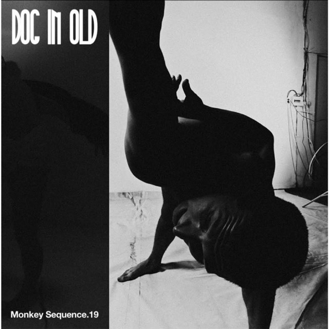 DOG IN OLD cover