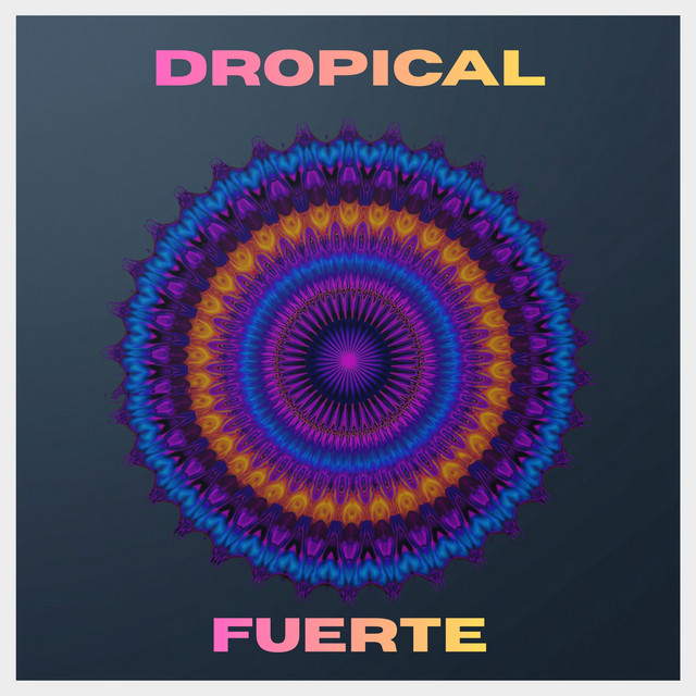 Fuerte cover